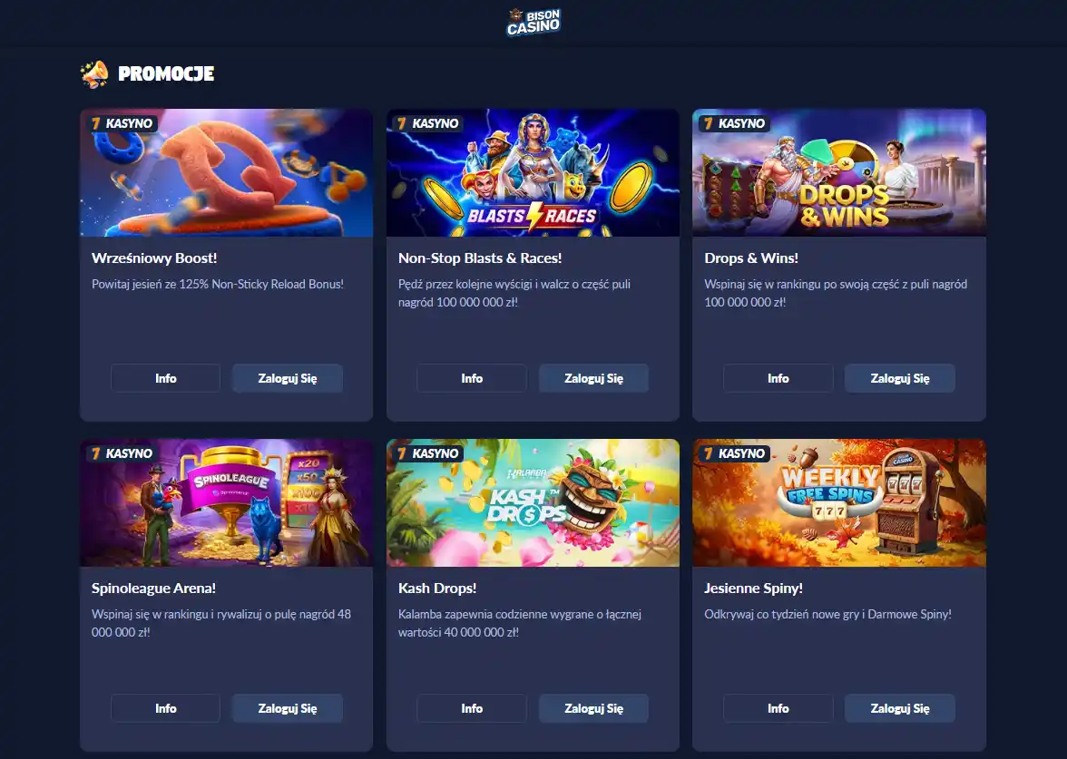 Bonus Bison Casino – oferta powitalna i najważniejsze warunki
