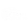 Bizon Casino